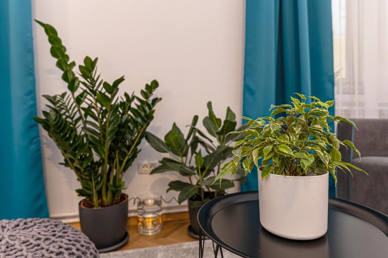 Garden Hideout - Central Apartment Brassó Kültér fotó